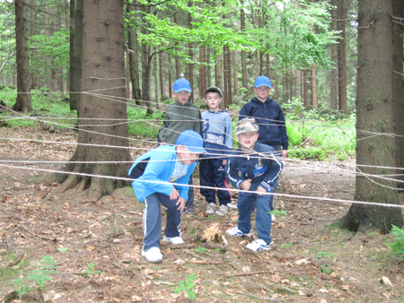 4PvP1B.1C.ctvr (126)